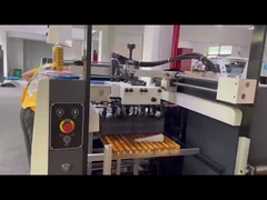 دستگاه لاک UV سری FHSGJ