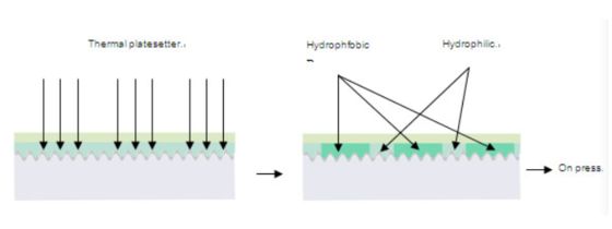 صفحه CTP بدون فرآیند حرارتی 0.30 میلی‌متر 100 هزار برداشت